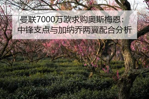 曼联7000万欧求购奥斯梅恩：中锋支点与加纳乔两翼配合分析