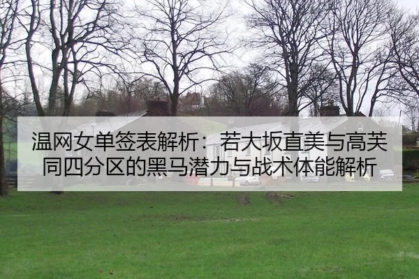 wen-wang-nv-dan-qian-biao-jie-xi-ruo-da-ban-zhi-mei-yu-gao-fu-tong-si-fen-qu-de-hei-ma-qian-li-yu-zhan-shu-ti-neng-jie-2-741.jpg
