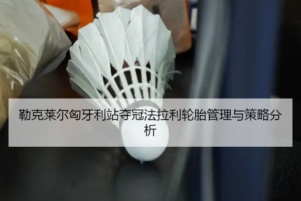 lei-ke-lai-er-xiong-ya-li-zhan-duo-guan-fa-la-li-lun-tai-guan-li-yu-ce-lve-fen-xi-3-885.jpg